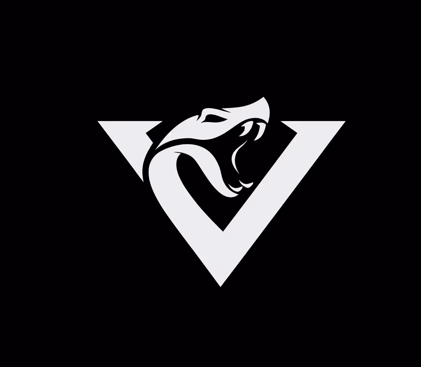 Viper Contractor logo